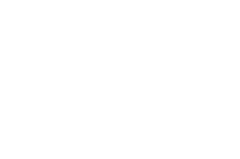 TLX
